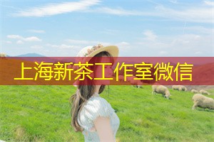 上海新茶工作室微信：作为中国最繁华的都市之一