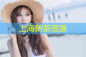 上海新茶工作室：他们的绿茶搭配清淡的素食小吃