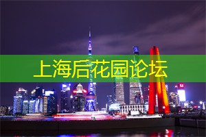 上海龙凤419：上海人的恋爱宝典，全明星阵容助你征服TA的心！