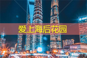 爱上海：孤儿怎么找亲生父母