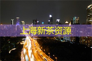 上海花千坊：隐秘的夜市与聚落发现